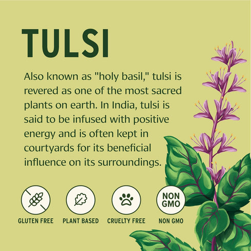 Banyan Botanicals Tulsi (Holy Basil) Organic Lung and Respiratory Health Supplement, 90 Tablets, Non-GMO Vegan