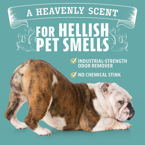 Angry Orange Pet Odor Eliminator, Citrus Deodorizer for Strong Dog or Cat Pee Smells, 2 Pack for Carpet, Furniture &
