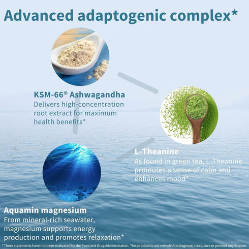 Advanced Ashwagandha KSM-66, L-Theanine & Magnesium - 60 Vegan Capsules, Multi Action Adaptogen Complex for Stress