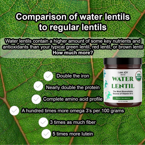 Water Lentil Protein Powder | Best Source of B12 Vitamin | Sugar Free | 10oz Glass Jar