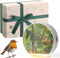 Hollowfly Singing Bird Box White Noise Sound Machine LED Light Radar Sensor Relaxation