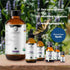 Organic Hyssop Essential Oil 15ml - 100% Pure & Natural for Aromatherapy, Home Diffuser Oil