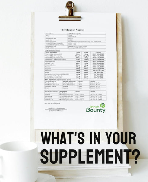 Focus 14-in-1 Nootropic Brain Supplement - 60 Filler Free Capsules - with Lions Mane, Alpha GPC Choline, Vitamin C &