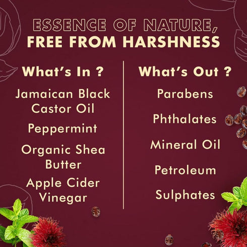 SheaMoisture Jamaican Black Castor Oil Leave In Conditioner 11.5oz | Pure Oil to Soften and Detangle Hair