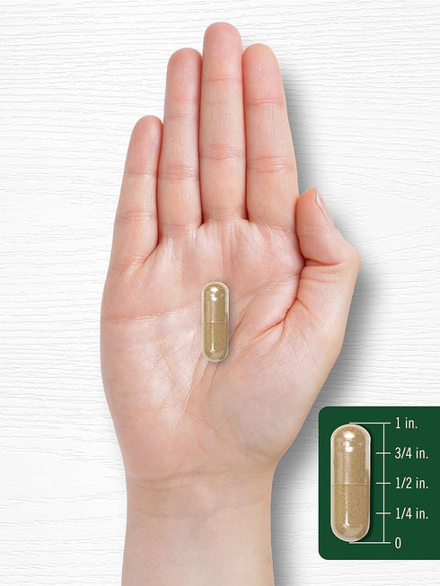 Carlyle Artichoke Extract Capsules 8000mg - 200 Count, Non-GMO, Gluten Free Supplement