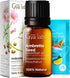 Set Set 2x0.34 oz Ambrette Seed & Rose Otto Essential Oils for Skin - Aromatherapy Grade Essential Oils - fl - Gya Labs