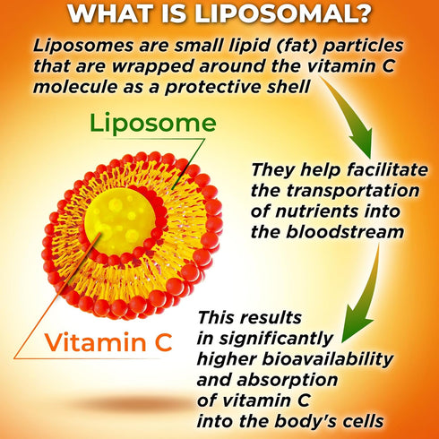 Liposomal Vitamin C Capsules 1500mg, Organic Acerola Cherries & Camu Camu, Immune Support Supplement, 180 Count