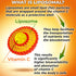 Liposomal Vitamin C Capsules 1500mg, Organic Acerola Cherries & Camu Camu, Immune Support Supplement, 180 Count