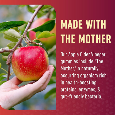 Organic Apple Cider Vinegar Gummies - 60 Ct - with B6, B12 & Folate - Weight, Digestion, Detox Support