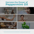 Viva Doria 100% Pure Northwest Peppermint Essential Oil, Undiluted, Food Grade, 30 mL, Made in USA