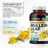 BIO KRAUTER Mullein Capsules for Lung Detox 1200 mg - 250 Count - Vegan Mullein Leaf Capsules for Respiratory Support -