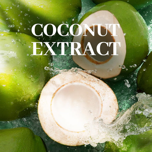 Shea Butter and Coconut Body Scrub, Exfoliating Natural Ingredients for Smooth Skin, Paraben-Free, 8.82oz