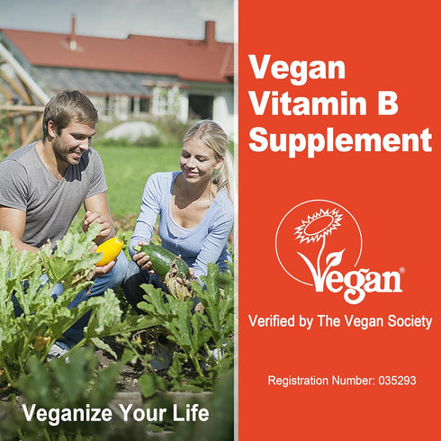 Gummies Omega-3, CoQ10, B12 2000 B1,B2, B3,B5,B6,B7- Super Methylated Vitamin B Complex - All B Vitamins + Magnesium
