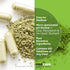 ANDREW LESSMAN Glutathione 250 mg - 60 Capsules - Bioavailable Powerful Antioxidant, Supports Immune Health