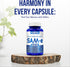 SAM-E Supplement 500mg | S-Adenosyl-L-Methionine for Bone and Mood Support | Non-GMO, Gluten Free (90 Day Supply)