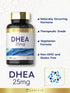 Carlyle DHEA 25mg Supplement | 180 Vegetarian Tablets for Men and Women, Non-GMO & Gluten Free