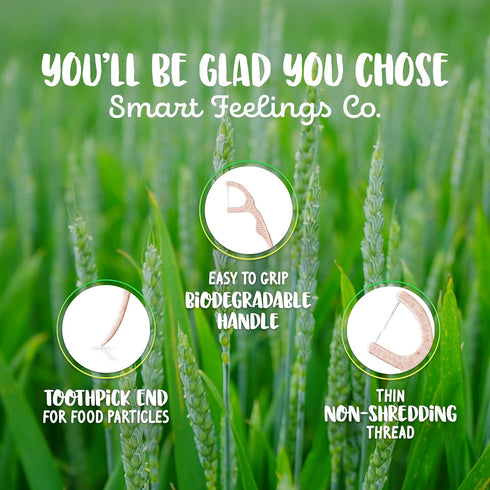 Smart Feelings Co. 100 Count 2 Packs Biodegradable Dental Floss Picks | Eco-Friendly Bamboo Like Straw Wheat