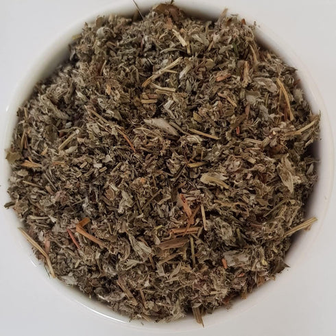 Health Embassy Silverweed Herb | 100% Natural Potentilla Anserine L. (50g) - Anserinae Herba