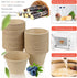 200 Pcs 4 oz Natural Sugarcane Biodegradable Bowls, Disposable Paper Bowls for Salad, Hot Soup, Pasta, and Dessert