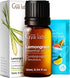 Set Set 2x10ml Lemongrass Essential Oil for Diffuser & Peppermint Oil for Hair - Aromatherapy Grade Essential Oils