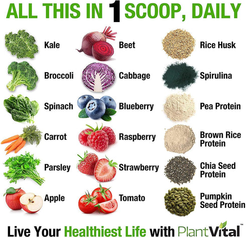 Plantvital Organic Vegan Protein Powder, Unflavored, 18 Superfoods, 16oz Pouch, Gluten Free