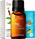 Gya Labs Coffee Essential Oil for Diffusers, 0.34 Fl Oz, 100% Pure Natural Coffee Oil for Hair, Skin, Aromatherapy