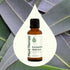 Plant Therapy Eucalyptus Globulus Essential Oil, 30 mL (1 oz) for Diffuser, Skin, Hair, Aromatherapy