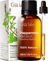 Gya Labs Peppermint Oil for Diffuser & Aromatherapy - 100% Natural, 1.02 Fl Oz