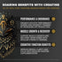 BIRDMAN Falcon Performance Vegan Protein Powder, 31g Protein, 5g Creatine, 5g BCAA, Low Carb, Sugar Free, Vanilla - 19