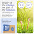 Bamboo Toothbrushes Medium Bristles, 10 Pack, BPA Free, Eco-Friendly, Compostable & Biodegradable for Adults