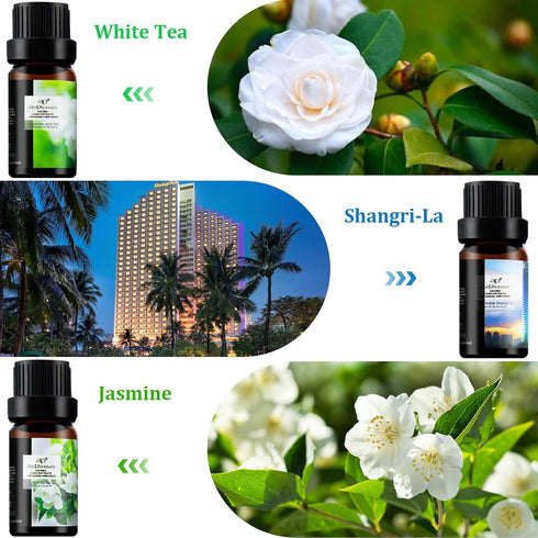 Flower Essential Oils Set, 6x10ml Aromatherapy Oil Gift Kit for Diffuser, Humidifier, Fragrance - Gardenia, Magnolia,
