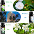 Flower Essential Oils Set, 6x10ml Aromatherapy Oil Gift Kit for Diffuser, Humidifier, Fragrance - Gardenia, Magnolia,