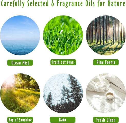 Set, Fragrance Oil, MitFlor Nature and Clean Fragrance Oils Soap Candle Making Scents, Essential Oils for Diffusers