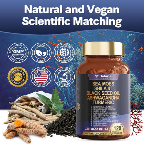 25-in-1 Sea Moss Black Seed Oil Supplement - 120 Caps, 18525mg with Ashwagandha, Ginger, Berberine & More