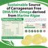 Vegan Omega 3 - Plant Based Algal DHA/EPA - 60 Veggie Softgels for Brain, Heart, Joints & Prenatal Health