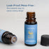 Set 6 Carnatia Starry Spell Fragrance Oil Magical & Calming Aromatherapy Blends for Stress Relief, Relaxation