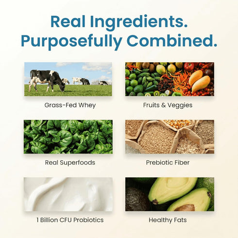 TrueFit High Fiber Protein Powder, Grass-Fed Whey Meal Replacement Shake with Prebiotics, Probiotics, & Organic