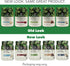 PlantFusion Complete Vegan Protein Powder - Plant Based with BCAAs, Digestive Enzymes, Pea Protein - Keto, Gluten Free,