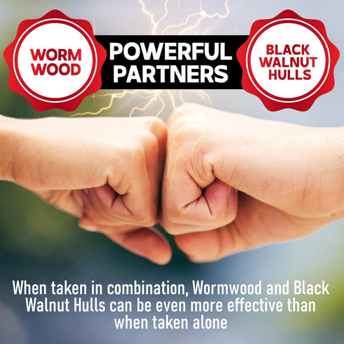 Wormwood Capsules, 12 Herbs Blended with Black Walnut, Cloves, Ginger, Turmeric, 2 Packs 50 Capsules for Health