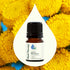 Plant Therapy Organic Blue Tansy Essential Oil 100% Pure, Undiluted, Natural Aromatherapy, Therapeutic Grade 2.5 mL