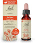 Bach Original Flower Remedies, Aspen for Apprehension and Security, Natural Homeopathic Flower Essence, Vegan, 10mL