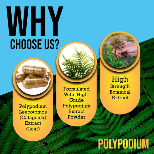 Skin Care Supplement Capsules - Nicotinamide/Niacinamide/Niacin 500mg and Polypodium Leucotomos 480mg