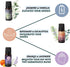 Folkulture Sleep Essential Oils Set for Diffusers, Pack of 3 Pure Oil Scents - Vanilla, Rosemary, Eucalyptus, Lavender