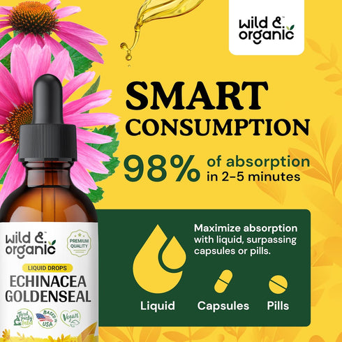 Echinacea Goldenseal Tincture - Immune Support Supplement with Goldenseal Root, 2 oz