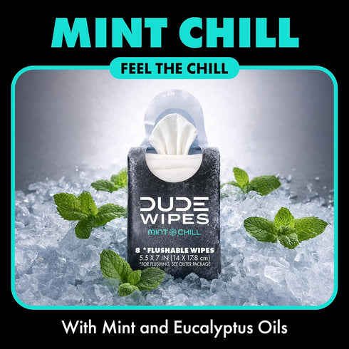 Packs 6 Packs 8 (48 Count) DUDE Wipes Mint Chill Pocket - Travel Wipes - of - On-The-Go Adult Flushable Wipes - Infused