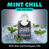 Packs 6 Packs 8 (48 Count) DUDE Wipes Mint Chill Pocket - Travel Wipes - of - On-The-Go Adult Flushable Wipes - Infused
