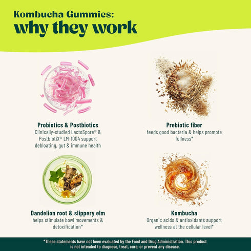 Gummy BoochBod - Probiotic Kombucha - Prebiotics, Probiotics, Postbiotics, Fiber Supplement, Slippery Elm, Dandelion