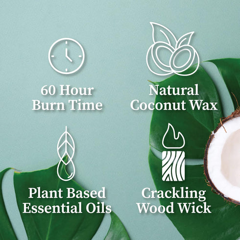 Hemlock 60 8 oz Park Eucalyptus Mint Apothecary Hand-Poured Scented Candle | Crackling Wood Wick, Botanical Fragrance