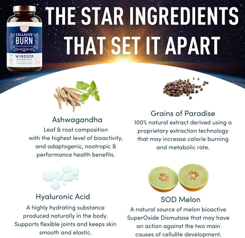 Thermogenic Multi Collagen Burn Capsules - Hydrating Beauty Collagen, Marine Collagen Supplements for Women and Men &