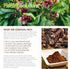 Clove Essential Oil - 100% Pure Therapeutic Grade Clove Oil - 120ml